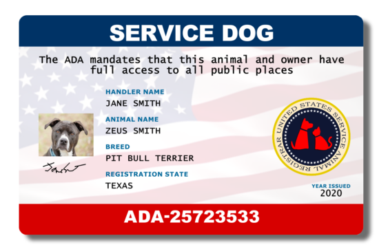 ada approved service dog registration